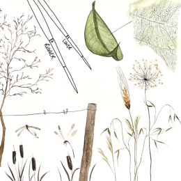 Pinceau Memory Point Liner Taille 0 dans le groupe Matériels d'artistes / Pinceaux / Pinceaux synthétiques chez Pen Store (136277)