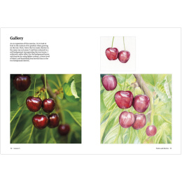 How to Draw a Tree: from the Fruit to the Forest dans le groupe Loisirs créatifs / Livres / Livres d'instruction chez Pen Store (136291)