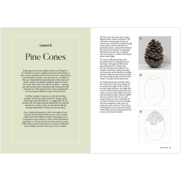 How to Draw a Tree: from the Fruit to the Forest dans le groupe Loisirs créatifs / Livres / Livres d'instruction chez Pen Store (136291)