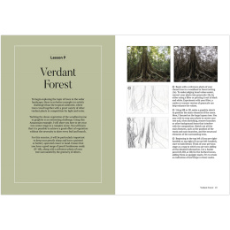 How to Draw a Tree: from the Fruit to the Forest dans le groupe Loisirs créatifs / Livres / Livres d'instruction chez Pen Store (136291)