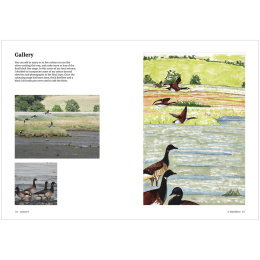 How to Draw a River: from the Source to the Sea dans le groupe Loisirs créatifs / Livres / Livres d'instruction chez Pen Store (136292)