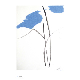 The Art of Sumi-e dans le groupe Loisirs créatifs / Livres / Livres pour inspiration chez Pen Store (136293)