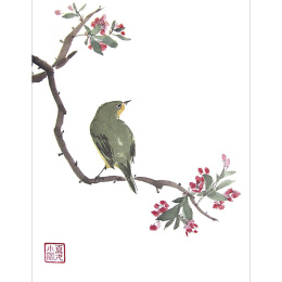 The Art of Sumi-e dans le groupe Loisirs créatifs / Livres / Livres pour inspiration chez Pen Store (136293)