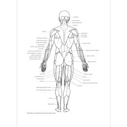 Figure Drawing: A Complete Guide dans le groupe Loisirs créatifs / Livres / Livres pour inspiration chez Pen Store (136294)