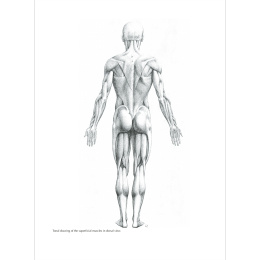 Figure Drawing: A Complete Guide dans le groupe Loisirs créatifs / Livres / Livres pour inspiration chez Pen Store (136294)