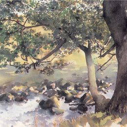 The Watercolour Artist's Bible dans le groupe Loisirs créatifs / Livres / Livres d'instruction chez Pen Store (136295)