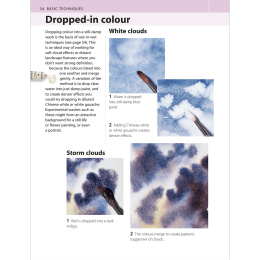 The Watercolour Artist's Bible dans le groupe Loisirs créatifs / Livres / Livres d'instruction chez Pen Store (136295)