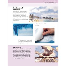 The Watercolour Artist's Bible dans le groupe Loisirs créatifs / Livres / Livres d'instruction chez Pen Store (136295)