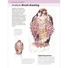 The Watercolour Artist's Bible dans le groupe Loisirs créatifs / Livres / Livres d'instruction chez Pen Store (136295)