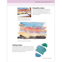 The Watercolour Artist's Bible dans le groupe Loisirs créatifs / Livres / Livres d'instruction chez Pen Store (136295)