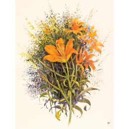 The Art of Gouache dans le groupe Loisirs créatifs / Livres / Livres d'instruction chez Pen Store (136297)