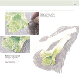 The Encyclopedia of Coloured Pencil Techniques dans le groupe Loisirs créatifs / Livres / Livres d'instruction chez Pen Store (136298)