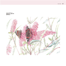 The Encyclopedia of Coloured Pencil Techniques dans le groupe Loisirs créatifs / Livres / Livres d'instruction chez Pen Store (136298)