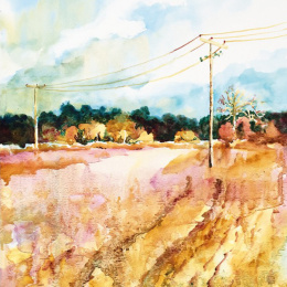 The Innovative Artist: Capturing Light dans le groupe Loisirs créatifs / Livres / Livres d'instruction chez Pen Store (136308)