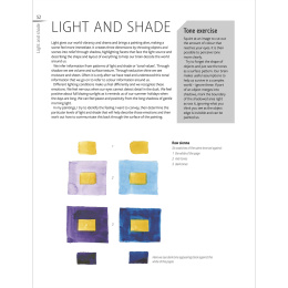 The Innovative Artist: Capturing Light dans le groupe Loisirs créatifs / Livres / Livres d'instruction chez Pen Store (136308)