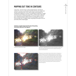 The Innovative Artist: Capturing Light dans le groupe Loisirs créatifs / Livres / Livres d'instruction chez Pen Store (136308)