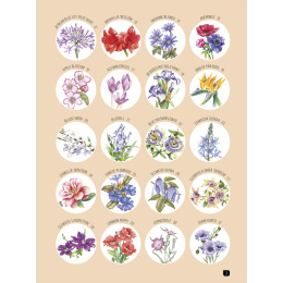 Draw 100: Flowers dans le groupe Loisirs créatifs / Livres / Livres pour inspiration chez Pen Store (136315)