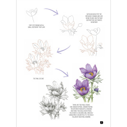 Draw 100: Flowers dans le groupe Loisirs créatifs / Livres / Livres pour inspiration chez Pen Store (136315)