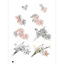 Draw 100: Flowers dans le groupe Loisirs créatifs / Livres / Livres pour inspiration chez Pen Store (136315)