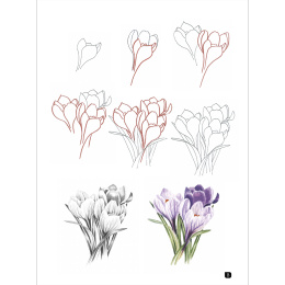 Draw 100: Flowers dans le groupe Loisirs créatifs / Livres / Livres pour inspiration chez Pen Store (136315)