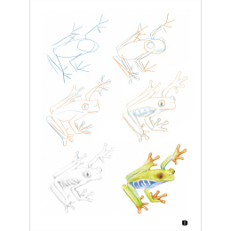 Draw 100: Animals dans le groupe Loisirs créatifs / Livres / Livres pour inspiration chez Pen Store (136316)