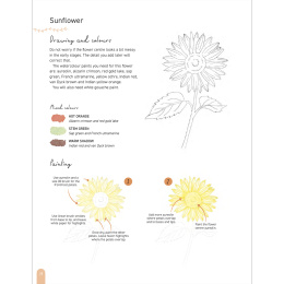 Paint 50: Watercolour Flowers dans le groupe Loisirs créatifs / Livres / Livres d'instruction chez Pen Store (136318)
