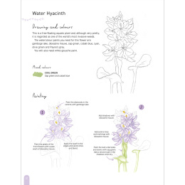 Paint 50: Watercolour Flowers dans le groupe Loisirs créatifs / Livres / Livres d'instruction chez Pen Store (136318)