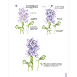 Paint 50: Watercolour Flowers dans le groupe Loisirs créatifs / Livres / Livres d'instruction chez Pen Store (136318)