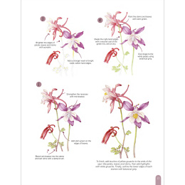 Paint 50: Watercolour Flowers dans le groupe Loisirs créatifs / Livres / Livres d'instruction chez Pen Store (136318)