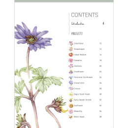 Paint 50: Watercolour Flowers dans le groupe Loisirs créatifs / Livres / Livres d'instruction chez Pen Store (136318)