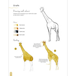 Paint 50: Watercolour Animals dans le groupe Loisirs créatifs / Livres / Livres d'instruction chez Pen Store (136319)