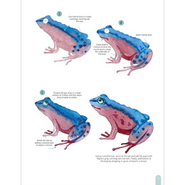 Paint 50: Watercolour Animals dans le groupe Loisirs créatifs / Livres / Livres d'instruction chez Pen Store (136319)