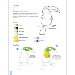 Paint 50: Watercolour Animals dans le groupe Loisirs créatifs / Livres / Livres d'instruction chez Pen Store (136319)