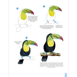 Paint 50: Watercolour Animals dans le groupe Loisirs créatifs / Livres / Livres d'instruction chez Pen Store (136319)