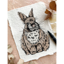 The Kew Book of Drawing Flora and Fauna dans le groupe Loisirs créatifs / Livres / Livres d'instruction chez Pen Store (136328)