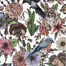 The Kew Book of Drawing Flora and Fauna dans le groupe Loisirs créatifs / Livres / Livres d'instruction chez Pen Store (136328)