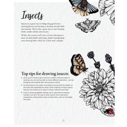 The Kew Book of Drawing Flora and Fauna dans le groupe Loisirs créatifs / Livres / Livres d'instruction chez Pen Store (136328)