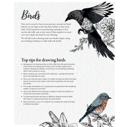 The Kew Book of Drawing Flora and Fauna dans le groupe Loisirs créatifs / Livres / Livres d'instruction chez Pen Store (136328)