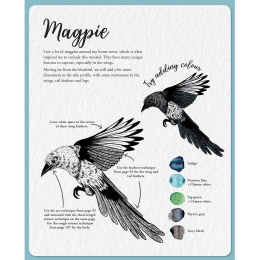 The Kew Book of Drawing Flora and Fauna dans le groupe Loisirs créatifs / Livres / Livres d'instruction chez Pen Store (136328)