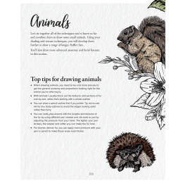 The Kew Book of Drawing Flora and Fauna dans le groupe Loisirs créatifs / Livres / Livres d'instruction chez Pen Store (136328)