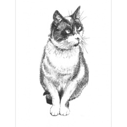 Pen and Ink Drawing Techniques dans le groupe Loisirs créatifs / Livres / Livres pour inspiration chez Pen Store (136330)