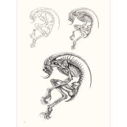 The Art of Fantasy dans le groupe Loisirs créatifs / Livres / Livres pour inspiration chez Pen Store (136331)