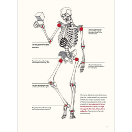 The Art of Fantasy dans le groupe Loisirs créatifs / Livres / Livres pour inspiration chez Pen Store (136331)