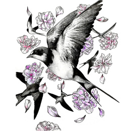 Set d’Aquarelle Illustrative dans le groupe Matériels d'artistes / Couleurs de l'artiste / Peinture aquarelle / Aquarelle en godet chez Pen Store (136421)