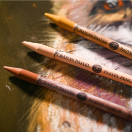 Ensemble de crayons pastels 12 pièces + 12 vides dans le groupe Stylos / Crayons d'artistes / Crayons pastels chez Pen Store (136577)