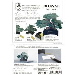 Carte pop-up Bonsai (Japanese black pine) dans le groupe Loisirs créatifs / Fêtes et saisons / Cartes et enveloppes chez Pen Store (136616)
