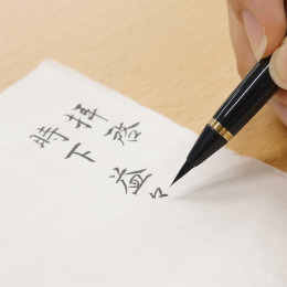 Stylo pinceau Fude Pen Fukurou dans le groupe Stylos / Crayons d'artistes / Feutres pinceaux chez Pen Store (136646)