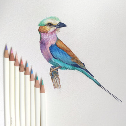 Irojiten Crayon de couleur à l’unité dans le groupe Stylos / Crayons d'artistes / Crayons de couleurs chez Pen Store (136687_r)