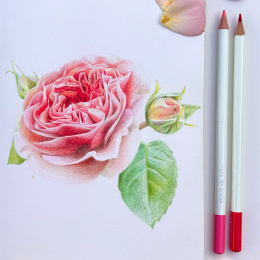 Irojiten Crayon de couleur à l’unité dans le groupe Stylos / Crayons d'artistes / Crayons de couleurs chez Pen Store (136687_r)