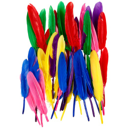Plumes paquet de 48 dans le groupe Loisirs créatifs / Fêtes et saisons / Bricolage de Pâques chez Pen Store (136985)